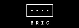 Bric logo 1